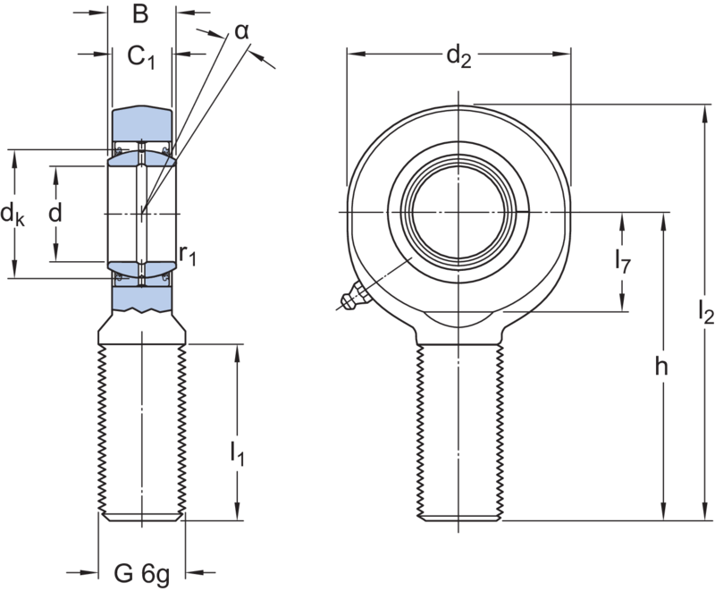 Dimensioni